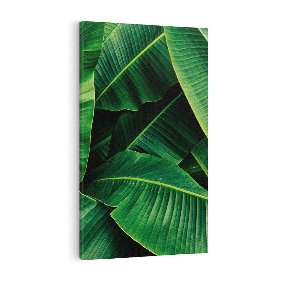 Obraz na płótnie 50x70 - Zaklęta roślinna ekspresja - liście bananowca, gęsto ułożone