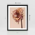 Plakat w ramie 40x50 - Delikatne piękno - suche, kwiaty - rama czarna