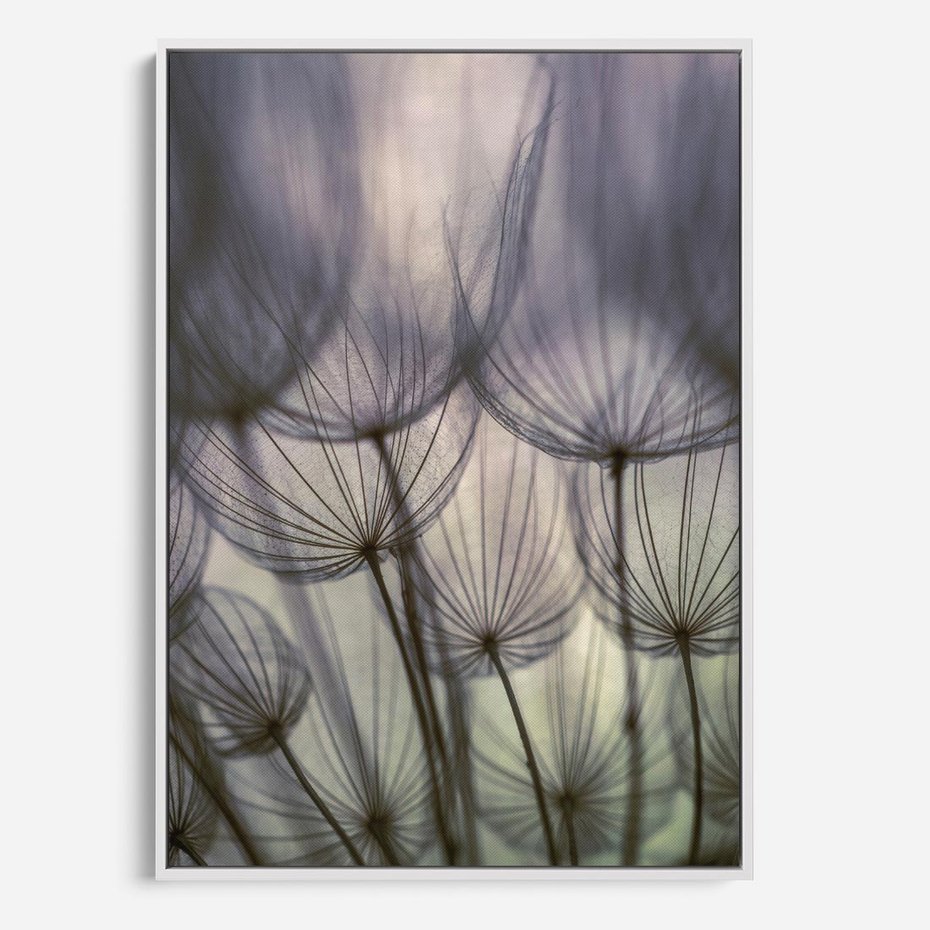 Obraz w ramie 80x120 - Makro dmuchawiec - piękno drobnych detali - dmuchawce, makro - rama biała