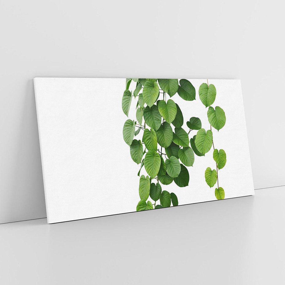 Obraz na płótnie 120x60 - Świeżość Natury - liście, zielone