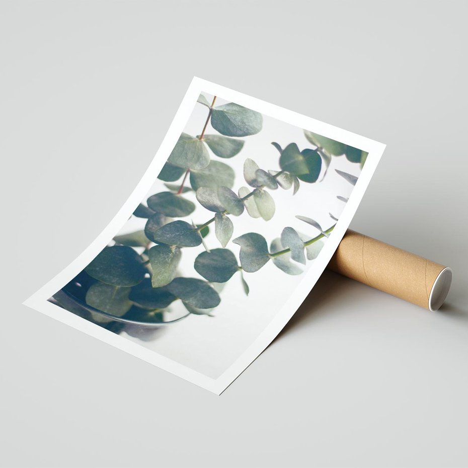 Plakat bez ramy 30x40 - ukaliptusowa Harmonia - liście eukaliptusa