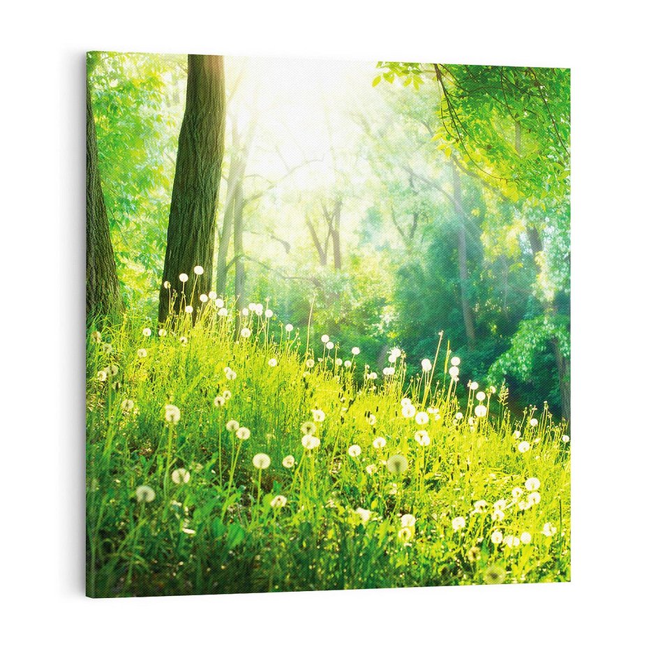 Obraz na płótnie 40x40 - Urok natury - magiczny las na płótnie - las, trawa