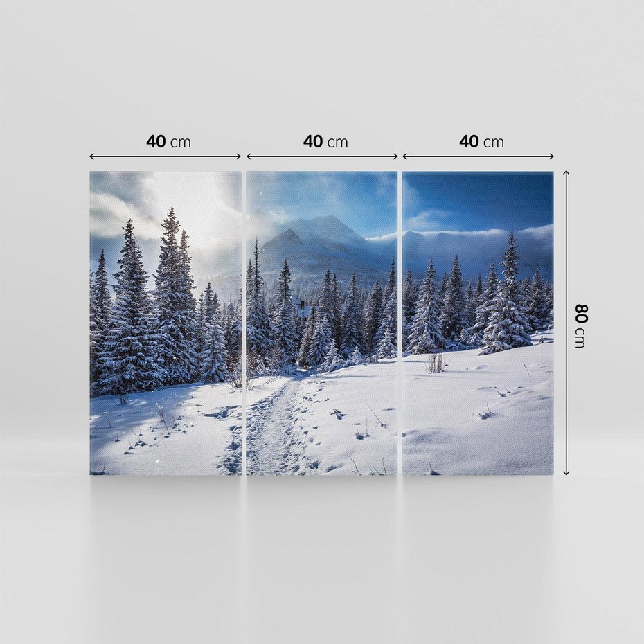 Obraz na płótnie 120x80 - Zimowe góry w lesie - góry, zima
