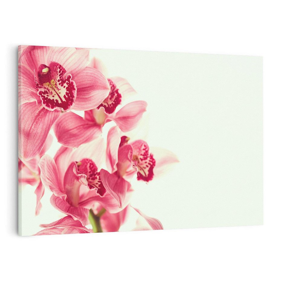Obraz na płótnie 70x50 - Orchidea - delikatne kwiaty - orchidea, kwiaty