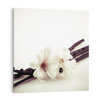 Obraz na płótnie 50x50 - Czuła delikatność wanilii - wanilia, kwiaty