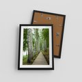Plakat w ramie 30x40 - Spacer ścieżką przez brzozowy las - las, ścieżka - rama czarna