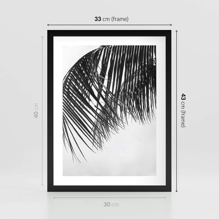 Plakat w ramie 30x40 - Czarno-Biały Kontrast - czarno białe zdjecie, palma - rama czarna