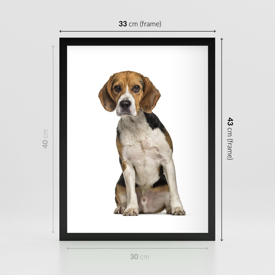 Plakat w ramie 30x40 - Wierność i radość - pies, piesek - rama czarna