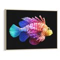 Obraz w ramie 100x70 - Tęczowa Piękność - kolorowa tęczowa ryba, mocny akcent na czarnym tle - rama drewno