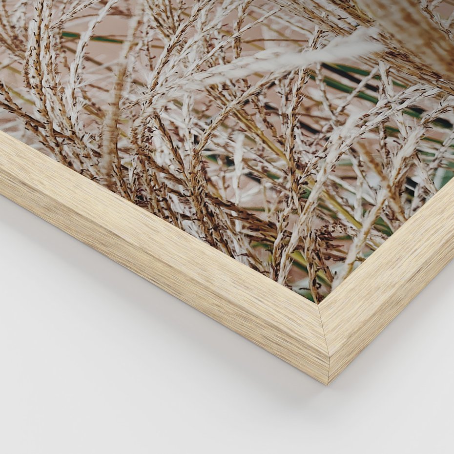 Zestaw obrazy w ramie 50x70 galeria - Boho, wnętrza, liście, trawy - rama drewno