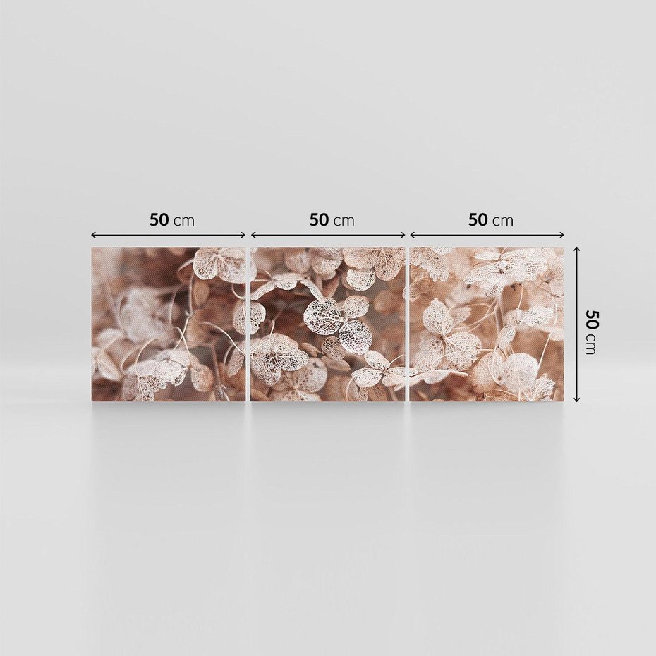 Obraz na płótnie 150x50 - Przemijająca Piękność - fotografia, zbliżenie