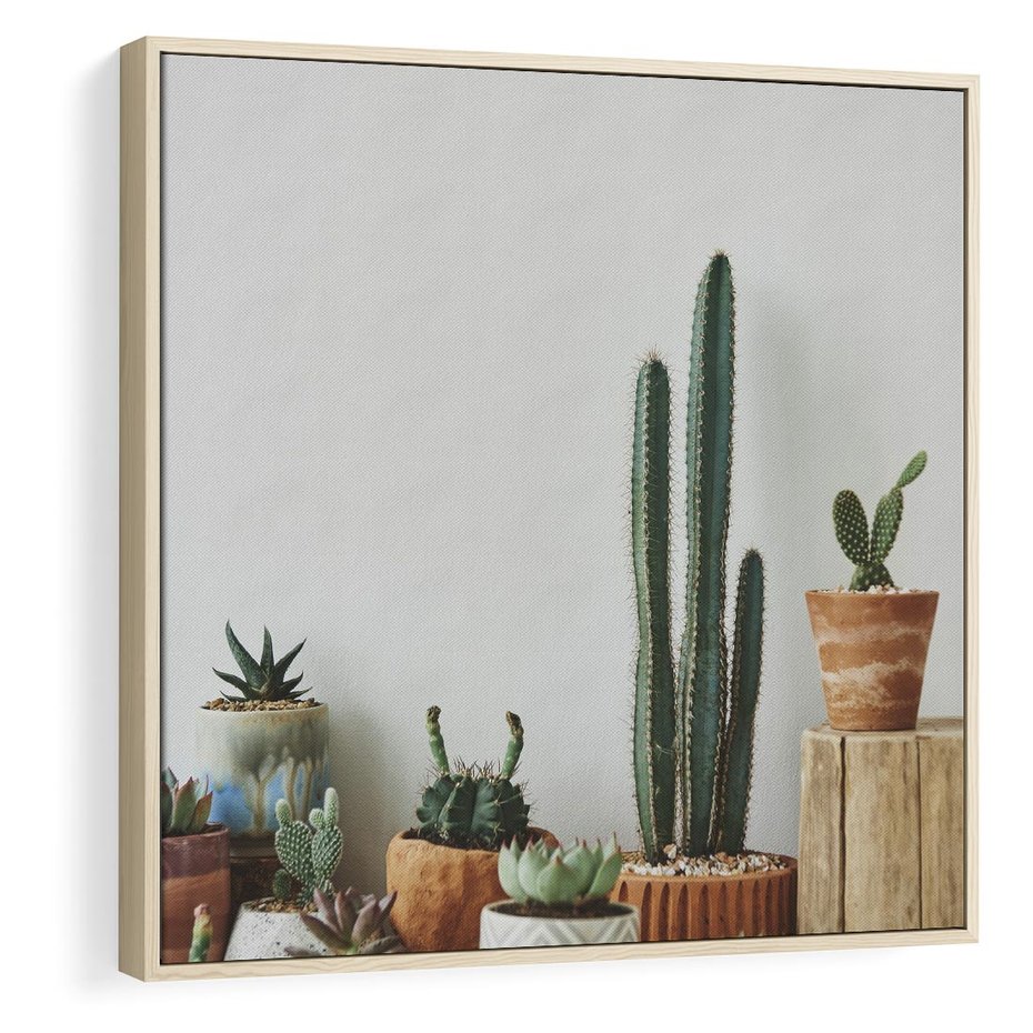 Obraz w ramie 50x50 - Naturalna Harmonia - kaktusy, liście - rama drewno