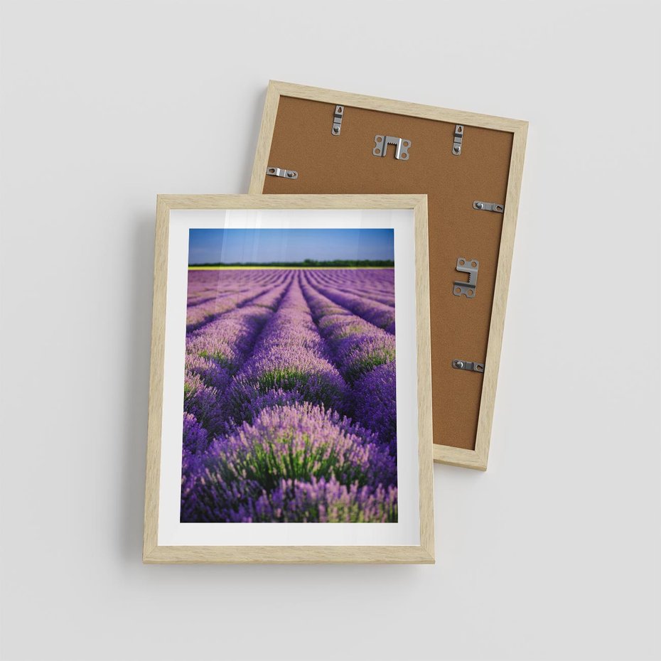 Plakat w ramie 30x40 - Malownicze Pole Lawendy - lawenda, pole - rama drewno