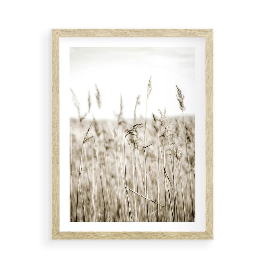 Plakat w ramie 50x70 - Nostalgiczny Pejzaż - suche trawy, pole - rama drewno
