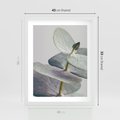Plakat w ramie 40x50 - Zbliżenie Liści Eukaliptusa - eukaliptus, zbliżenie - rama biała