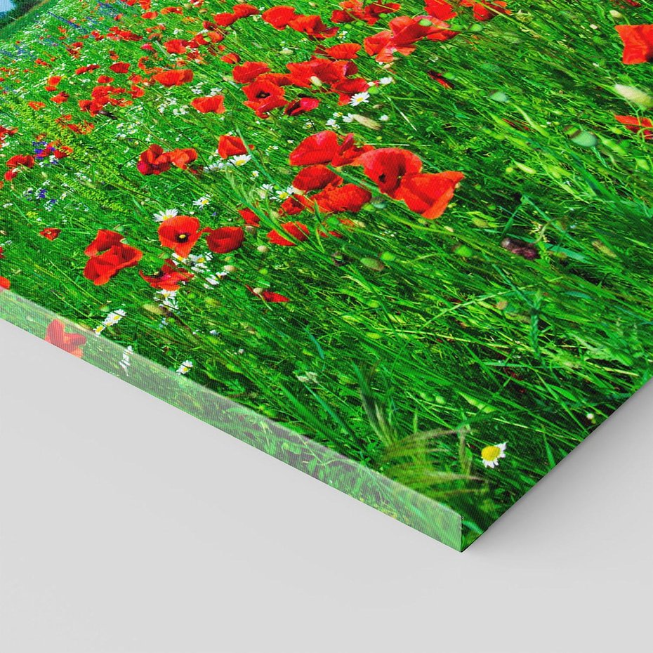 Obraz na płótnie 80x120 - Kolorowa łąka pełna maku - łąka, maki