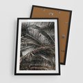 Plakat w ramie 50x70 - Liściaste Palmy - palmy, drzewa palmowe - rama czarna