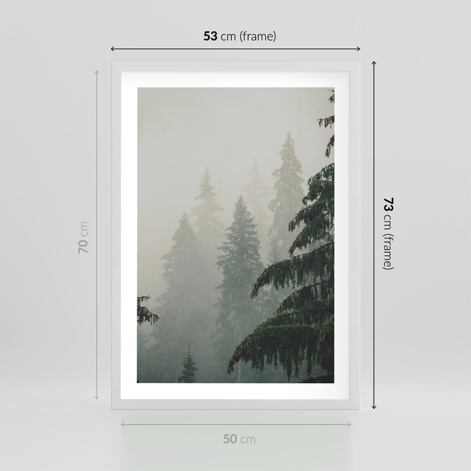 Plakat w ramie 50x70 - Mglista przemiana lasu - las, mgła - rama biała
