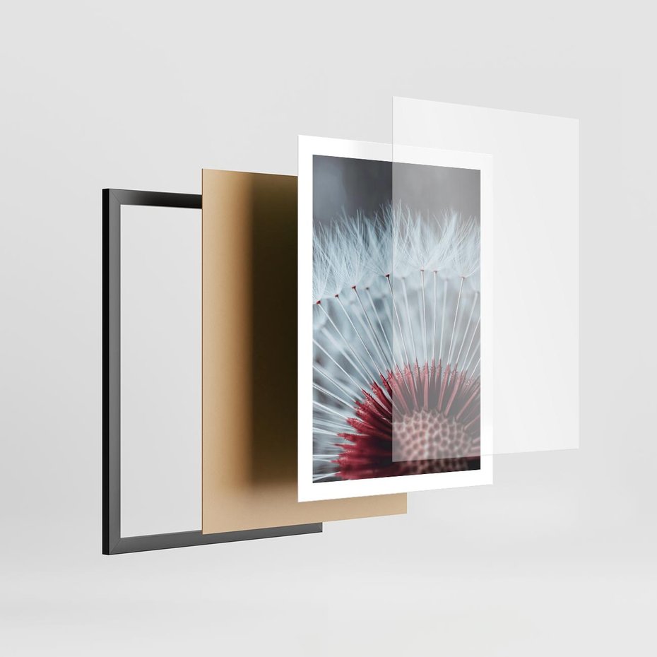 Plakat w ramie 50x70 - Dmuchawiec w Detalu - dmuchawiec, zdjęcie makro - rama czarna