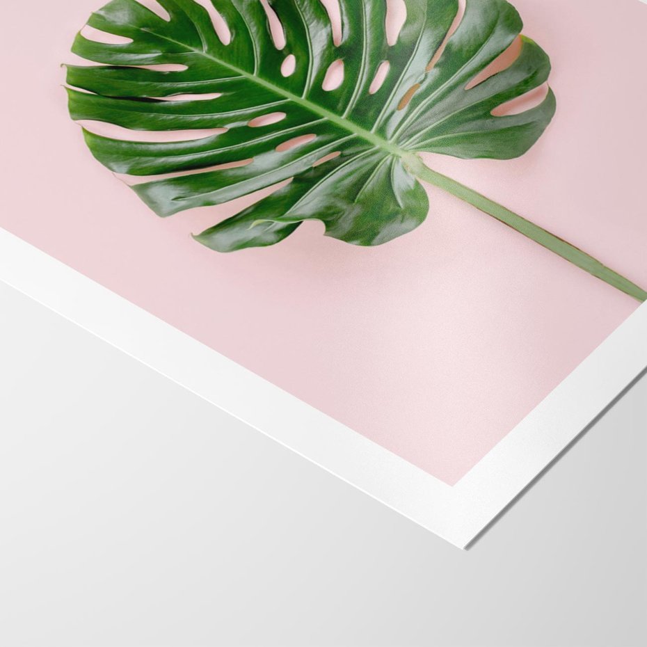Plakat bez ramy 21x30 - Egzotyczna Roślinność - liście, monstera