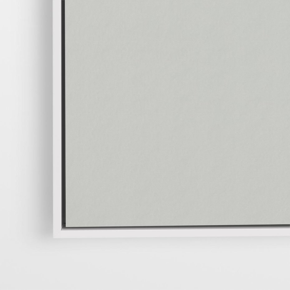 Obraz w ramie 50x50 - Zieleń i Subtelność - kaktusy, liście - rama biała