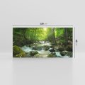 Obraz na płótnie 120x60 - Ukojenie strumienia: Spotkanie z naturą - strumyk, las