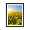 Plakat w ramie 50x70 - Idylla na łące słoneczników - łąka, słoneczniki - rama czarna