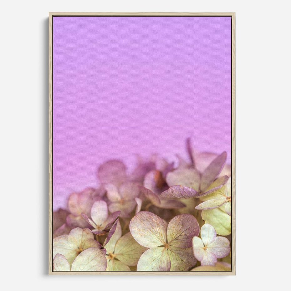 Obraz w ramie 80x120 - Kwiatowa Uroda - kwiaty, hortensje - rama drewno