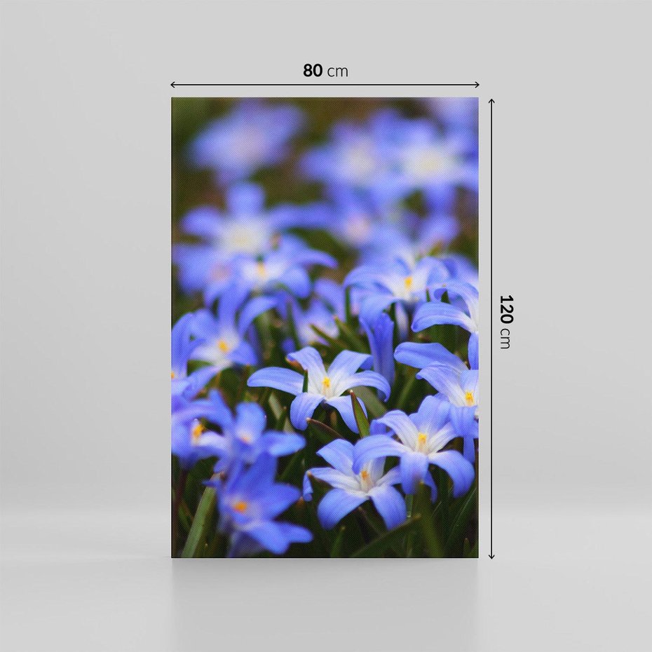 Obraz na płótnie 80x120 - Kwiatowy raj w naturze - kwiat, kwiaty