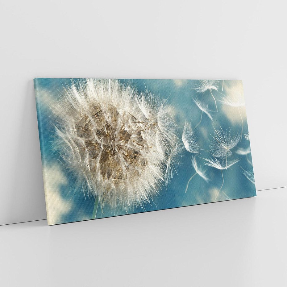 Obraz na płótnie 100x50 - Delikatność dmuchawców w pejzażu - dmuchawiec, kwiaty