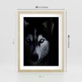 Plakat w ramie 30x40 - Wilk i husky: siła przyjaźni - wilk, husky - rama drewno
