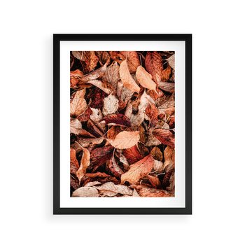 Plakat w ramie 50x70 - Magia Jesiennej Ziemi - liście, jesień - rama czarna