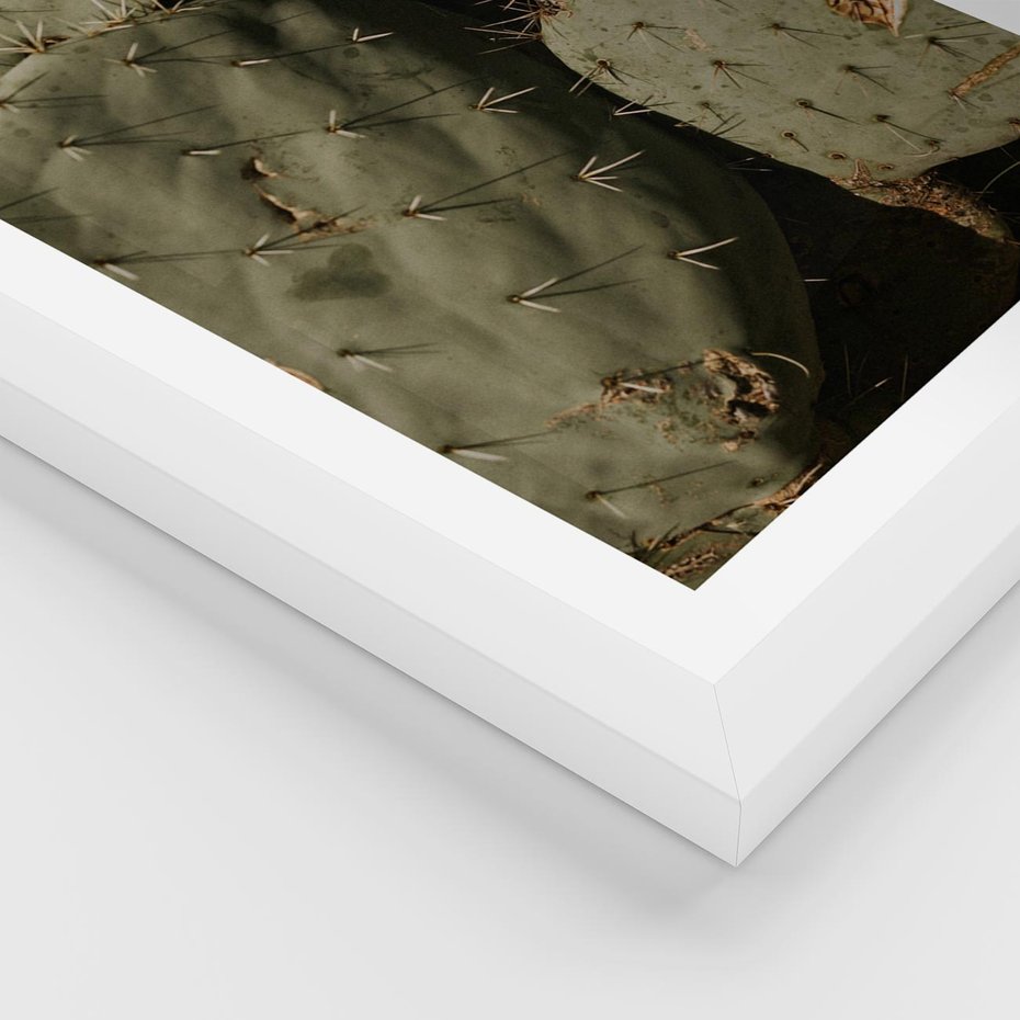 Plakat w ramie 40x50 - Urok Egzotyki - kaktusy, boho - rama biała