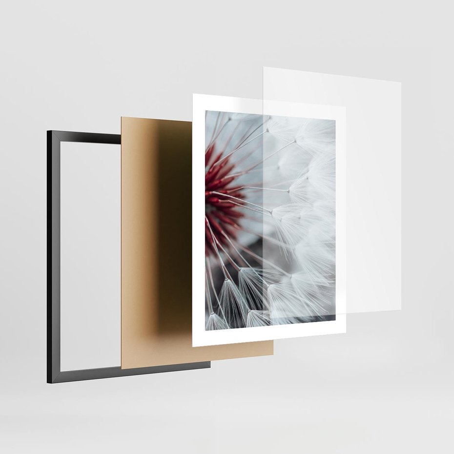 Plakat w ramie 40x50 - Makro świat dmuchawca - dmuchawiec, makro - rama czarna