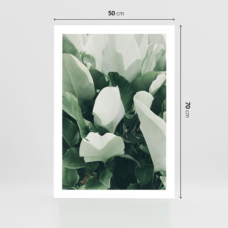 Plakat bez ramy 50x70 - Zgaszona Uroda Natury - zielone liście, zgaszona zieleń