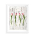 Plakat w ramie 50x70 - Kwintesencja Piękna - kwiaty, tulipany - rama biała