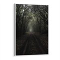 Obraz w ramie 50x70 - Urok Drogi - las, droga - rama biała