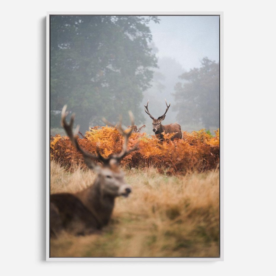 Obraz w ramie 80x120 - Malownicza Harmonia - jelenie, jesień - rama biała