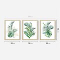 Zestaw obrazy w ramie 50x70 galeria - Liście, monstera, palma, złote, akwarele - rama drewno