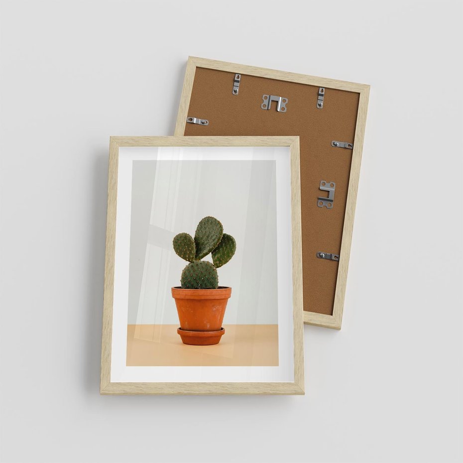 Plakat w ramie 30x40 - Kwiatowy taniec kaktusa - kaktus, kwiat - rama drewno