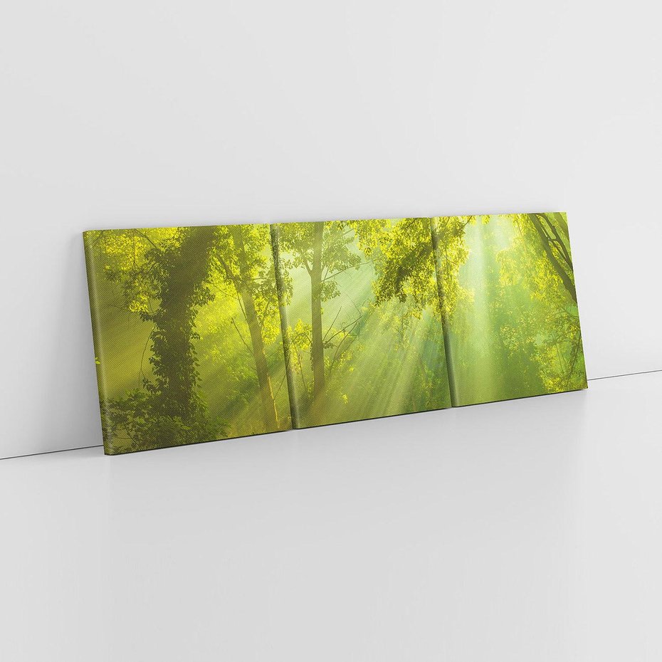 Obraz na płótnie 150x50 - drzewa w harmonii - las, drzewa