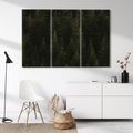 Obraz na płótnie 120x80 - Ciemny las iglasty - las, iglasty