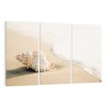 Obraz na płótnie 120x80 - Urok plażowej muszelki - fotografia, muszla na plaży