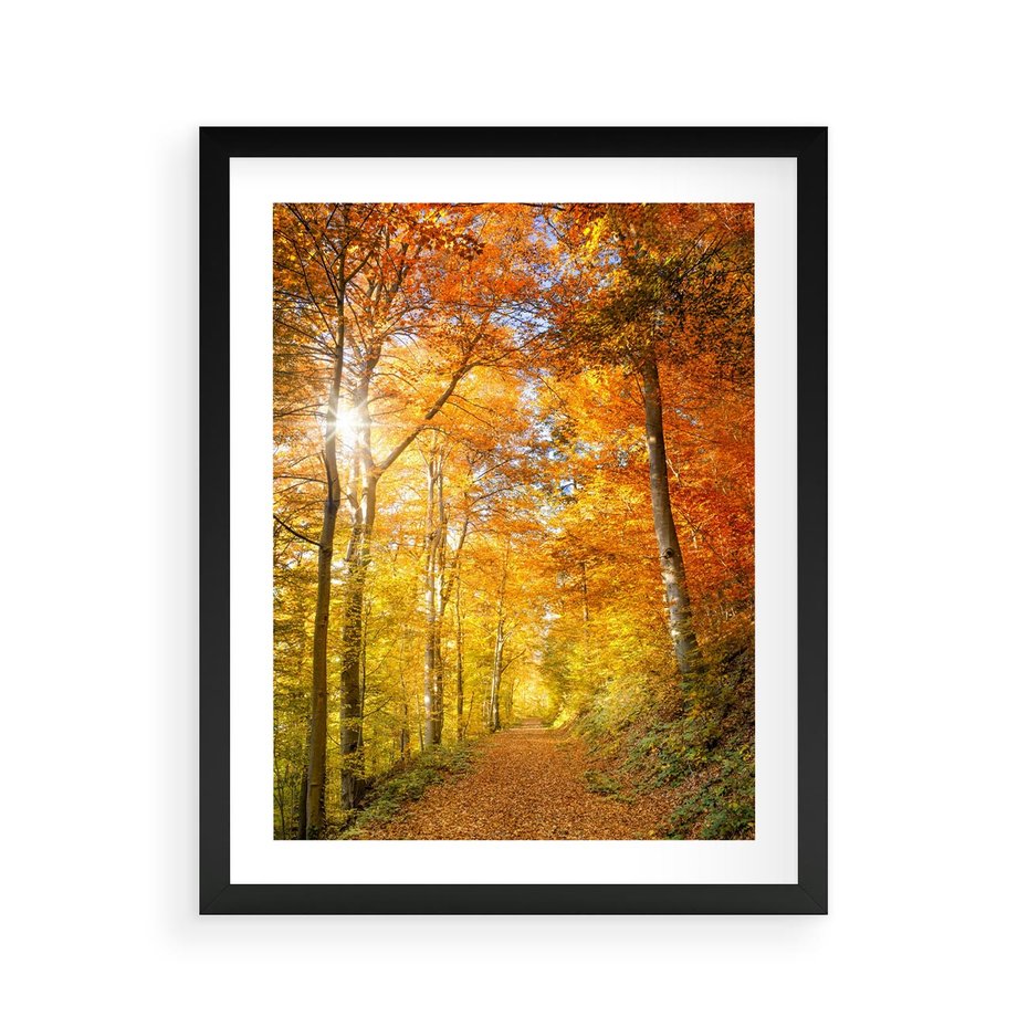 Plakat w ramie 40x50 - Złote barwy jesiennego lasu - las, jesień - rama czarna