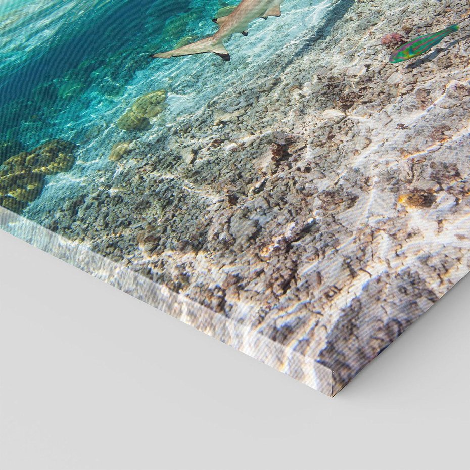 Obraz na płótnie 70x100 - Tropikalne Morze i Kolorowa Rafa - tropikalne, morze