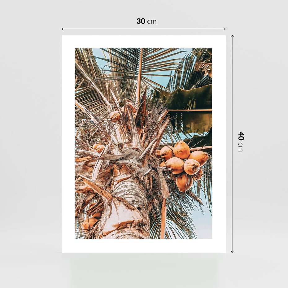 Plakat bez ramy 30x40 - Tropikalna Palma: Fotografia z Kokosami - palma kokosowa, kokosy