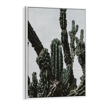Obraz w ramie 80x120 - Boho oaza wśród kaktusów - kaktusy, pustynia - rama biała