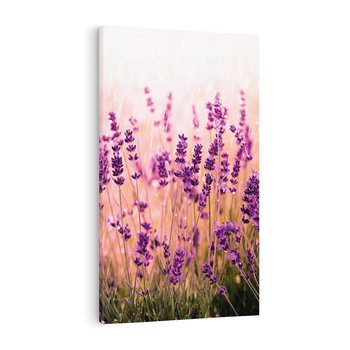 Obraz na płótnie 70x100 - Lawenda: Pachnące pole kwiatów - kwiaty, lawenda