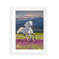 Plakat w ramie 50x70 - Koń Góry: Spotkanie z Wielką Przyrodą - koń, góry - rama biała