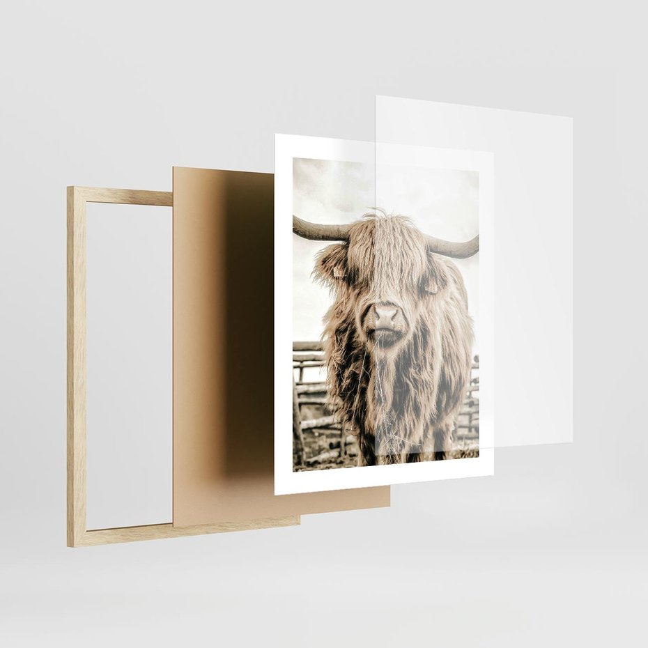 Plakat w ramie 40x50 - Klimat Wiejskiego Życia - amerykańska krowa, byk - rama drewno